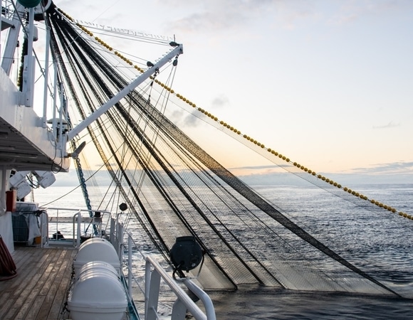 Роспотребнадзор не допустит до прилавков рыбу, зараженную водой с «Фукусимы» Роспотребнадзор не допустит до прилавков рыбу, зараженную водой с «Фукусимы»