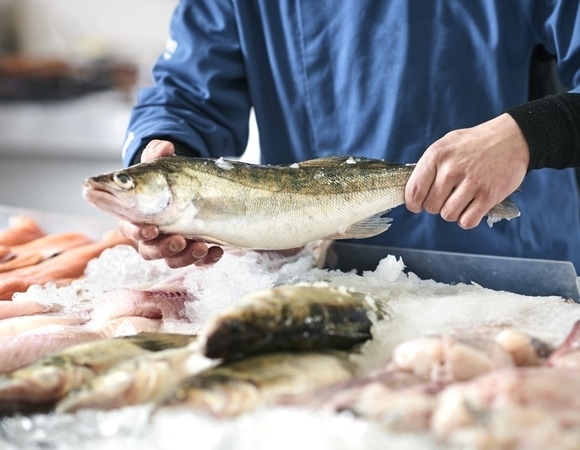 Карп, сом и тунец: врач перечислила виды рыбы, которую есть нельзя Карп, сом и тунец: врач перечислила виды рыбы, которую есть нельзя