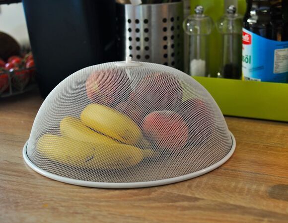 Найден способ избавления от плодовых мушек: насекомые исчезнут с кухни и не вернутся Найден способ избавления от плодовых мушек: насекомые исчезнут с кухни и не вернутся