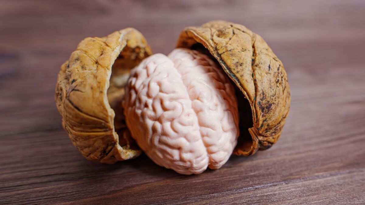 Стало известно, какие две диеты могут предотвратить болезнь Альцгеймера