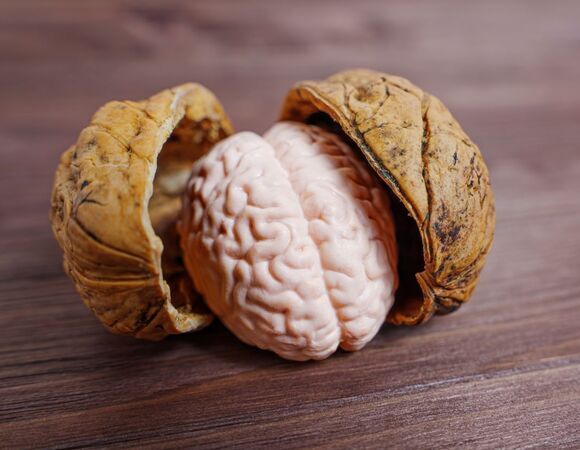 Стало известно, какие две диеты могут предотвратить болезнь Альцгеймера Стало известно, какие две диеты могут предотвратить болезнь Альцгеймера