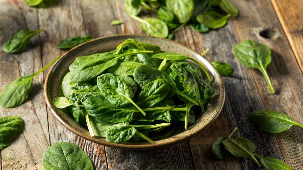 Роспотребнадзор призывает есть больше шпината осенью