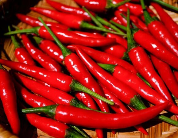 Стала известна смертельная для человека доза острого перца 