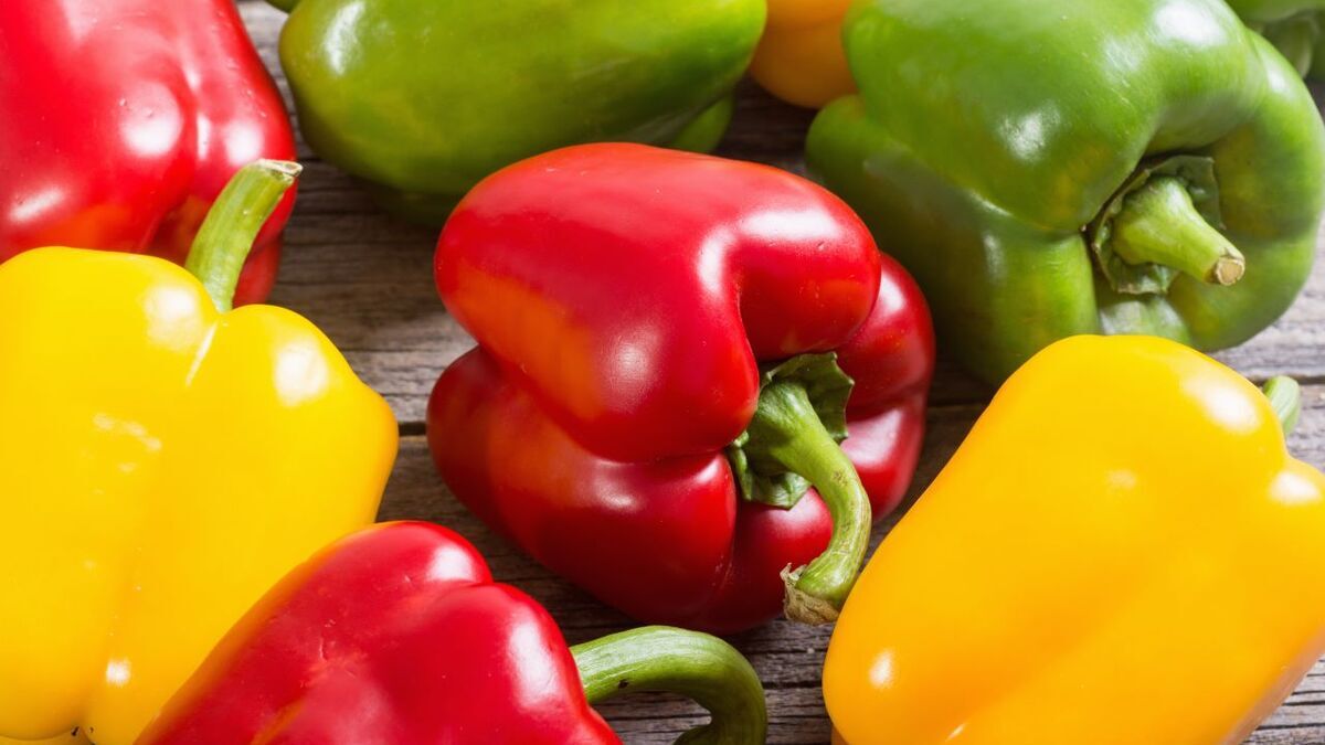 Стало известно, как болгарский перец помогает при бессоннице и беременности