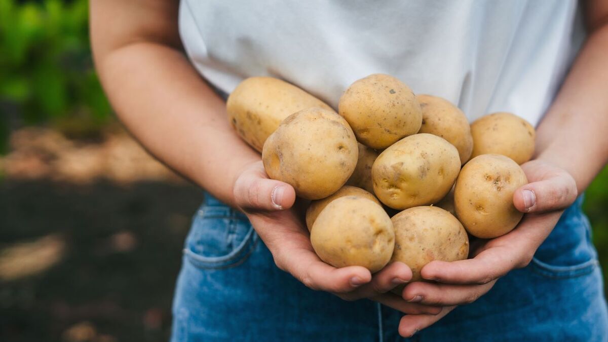 Не есть после 30: диетолог составила список продуктов, которые ускоряют старение