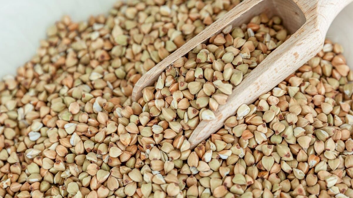 Названы неожиданные свойства зеленой гречки Названы неожиданные свойства зеленой гречки