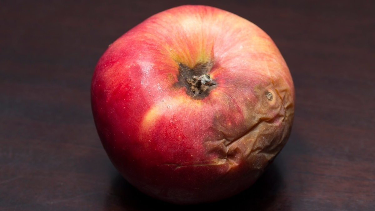 Безопасно ли использовать гнилые фрукты и овощи в супах и выпечке?