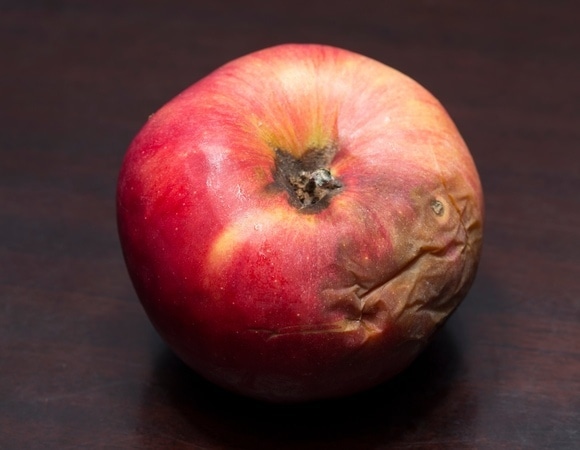 Безопасно ли использовать гнилые фрукты и овощи в супах и выпечке?