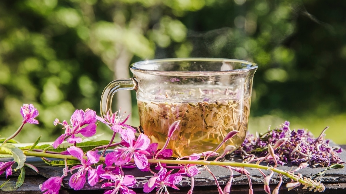 Найдены безопасные замены кофе для гипертоников 