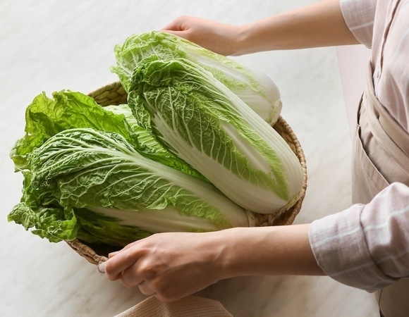 Малышева объяснила, чем полезна китайская капуста Малышева объяснила, чем полезна китайская капуста