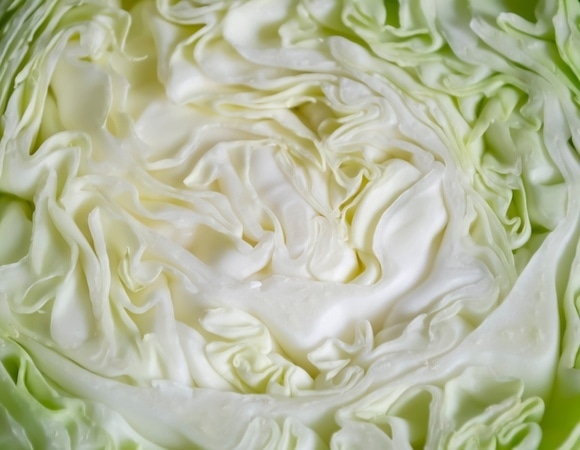 Найден овощ, способный «обновить» организм Найден овощ, способный «обновить» организм