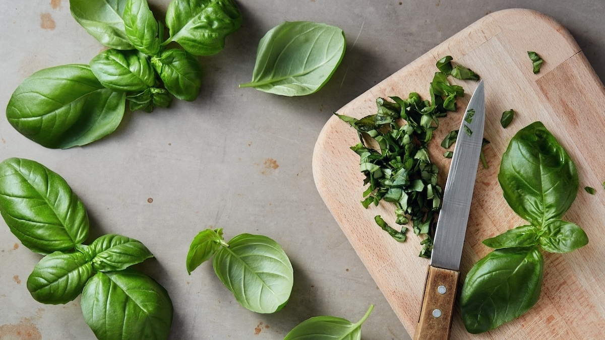 4 удивительных свойства базилика: диетолог объяснила, за что нужно любить продукт