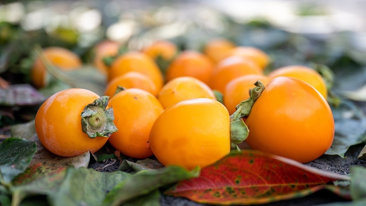 Химик объяснила, как с помощью хурмы избавиться от нервного истощения 