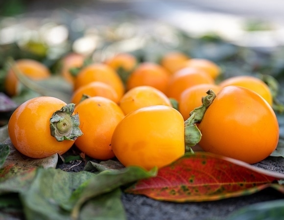 Химик объяснила, как с помощью хурмы избавиться от нервного истощения Химик объяснила, как с помощью хурмы избавиться от нервного истощения