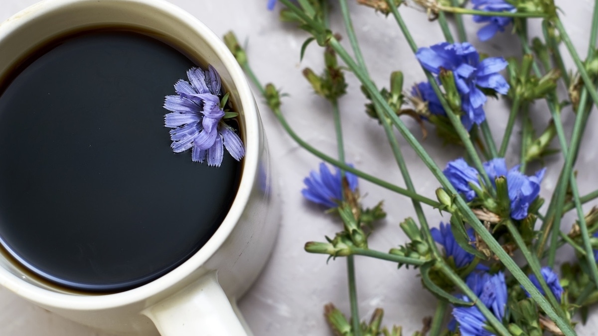 Что произойдет с организмом, если заменить кофе на цикорий?