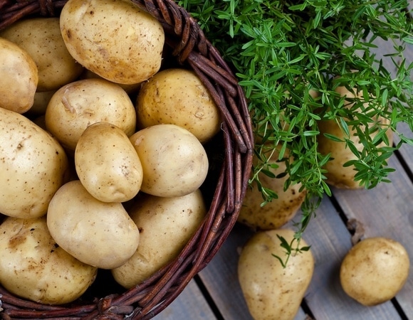 Найдены причины не отказываться от картофеля во время диеты — секрет в способе приготовления Найдены причины не отказываться от картофеля во время диеты — секрет в способе приготовления