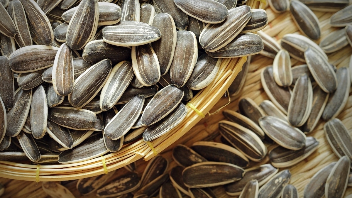 Вредная привычка или полезный перекус? Врач раскрыла правду о семечках 