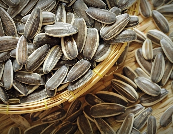 Вредная привычка или полезный перекус? Врач раскрыла правду о семечках Вредная привычка или полезный перекус? Врач раскрыла правду о семечках