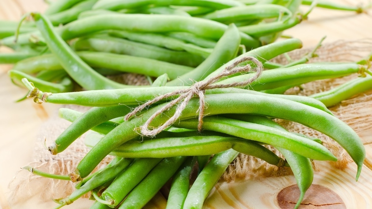 Как на организм влияет стручковая фасоль — 3 веские причины есть ее чаще 