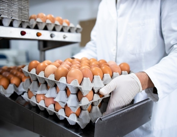 Эксперты объяснили, почему вдруг подорожали яйца