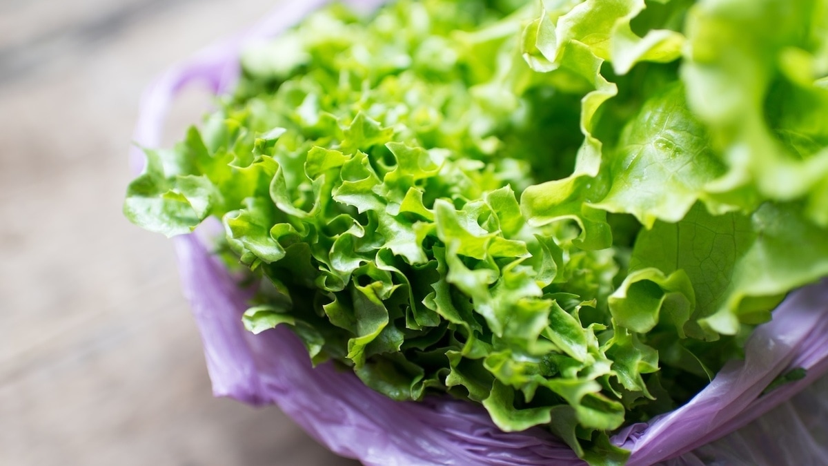 Стали известны продукты, оздоравливающие кишечник