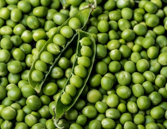 Диетолог Соломатина рассказала, что будет, если заменить мясо на горох Диетолог Соломатина рассказала, что будет, если заменить мясо на горох