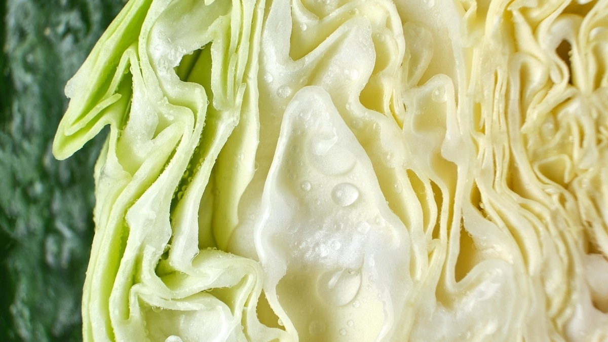Диетолог Гинзбург объяснил феноменальную пользу капусты