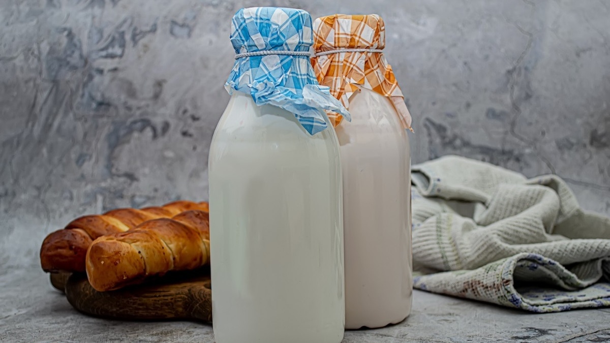 Что полезнее: ряженка или кефир? Эксперты сравнили эти кисломолочные напитки