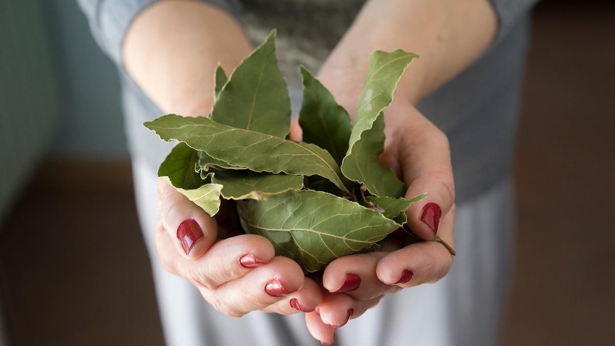 Зачем класть лавровый лист в муку: хитрость опытных хозяек