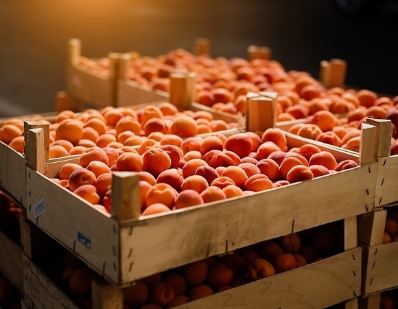 Названы самые низкокалорийные фрукты — не навредят здоровью, не испортят фигуру