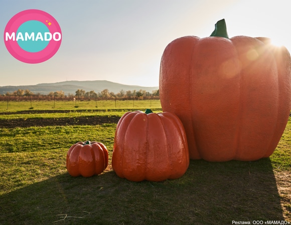 Секрет успеха в бизнесе на примере экосистемы Mamado