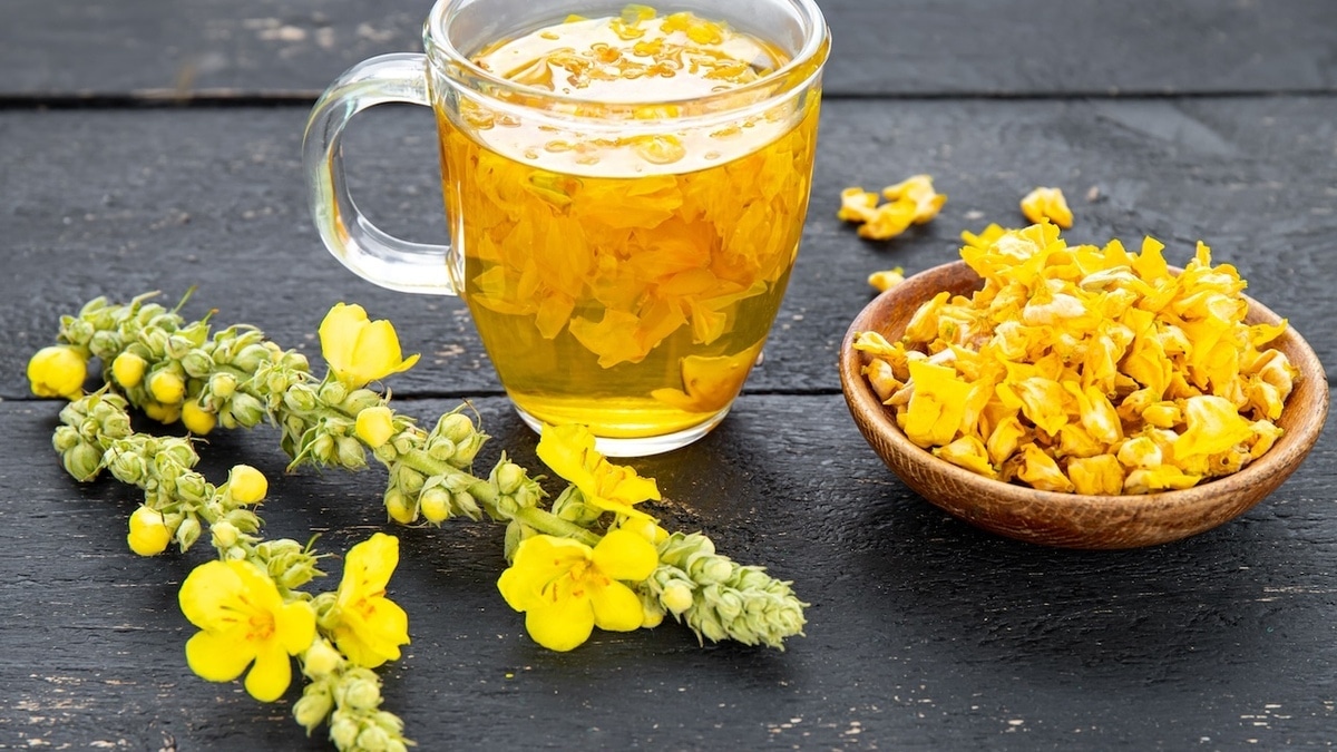 Чем полезен чай из коровяка — этот напиток у медиков в «избранном»