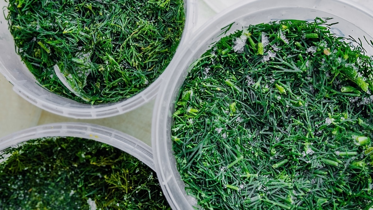 Остатки зелени лучше сушить или замораживать — диетолог назвала правильное решение 