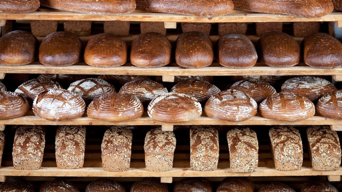 Есть канцерогены, токсинов нет: Роскачество проверило традиционный хлеб — вот результаты