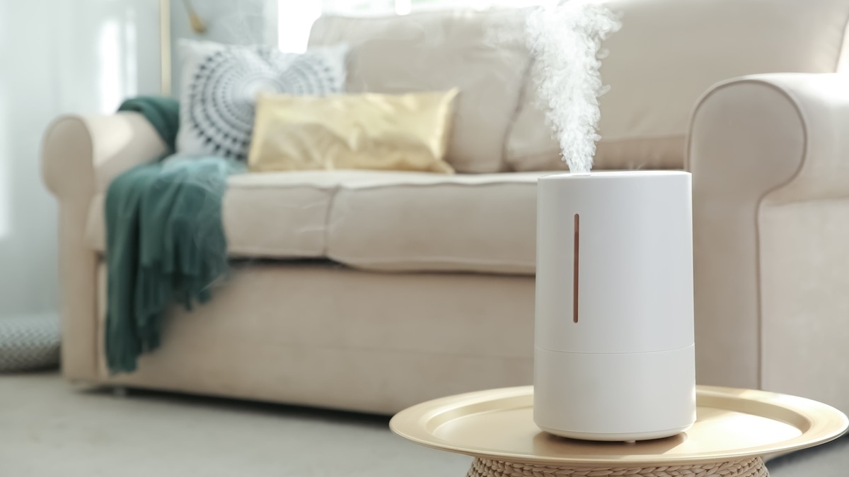 «Это опасно»: эксперт рассказала, почему нельзя часто пользоваться увлажнителем воздуха