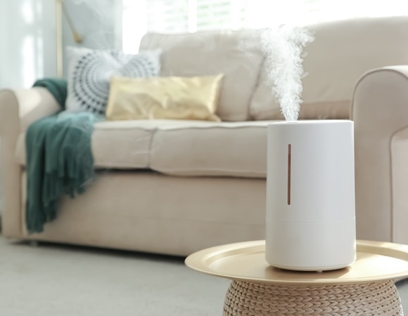 «Это опасно»: эксперт рассказала, почему нельзя часто пользоваться увлажнителем воздуха «Это опасно»: эксперт рассказала, почему нельзя часто пользоваться увлажнителем воздуха