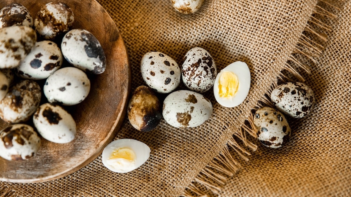 Врач объяснила, чем перепелиные яйца лучше куриных — какие же добавить в рацион? 