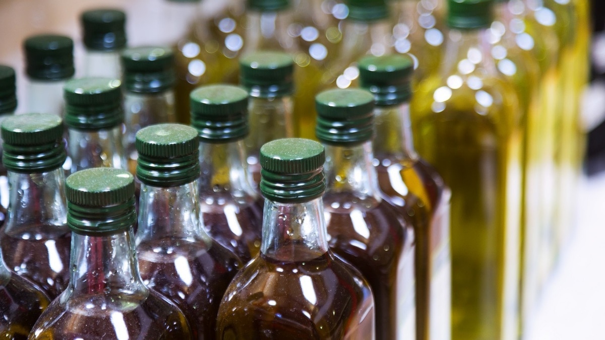 Как выбрать качественное оливковое масло — рассказала эксперт