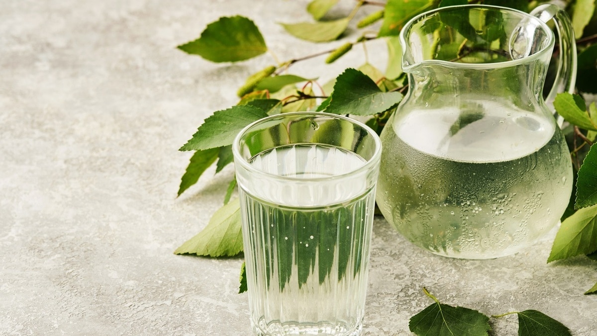 Собрать в лесу или купить? В Роскачестве сказали, полезен ли березовый сок из магазина