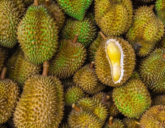 Противоречивый «король фруктов»: полезен ли дуриан для здоровья?