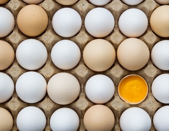 Как выбрать хорошие яйца: советы по проверке качества в магазине и дома 