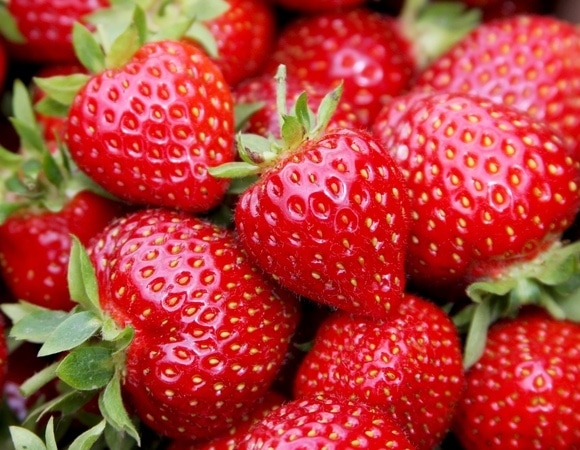 Как хранить клубнику, чтобы она оставалась вкусной и свежей: правила от диетолога Как хранить клубнику, чтобы она оставалась вкусной и свежей: правила от диетолога