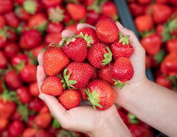 Сезон клубники открыт: агроном рассказал, как надо и не надо выбирать ягоды 
