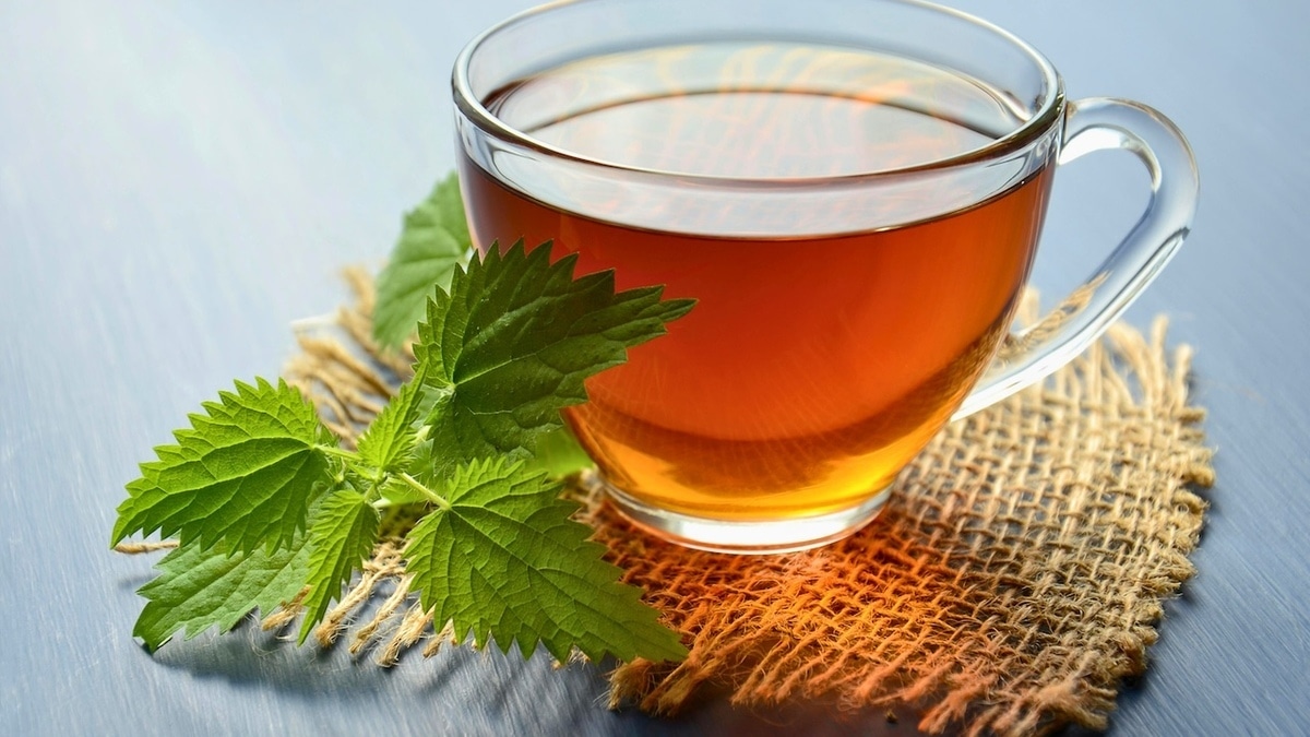 Вода или еда? Стало известно, можно ли поддерживать водный баланс чаем 