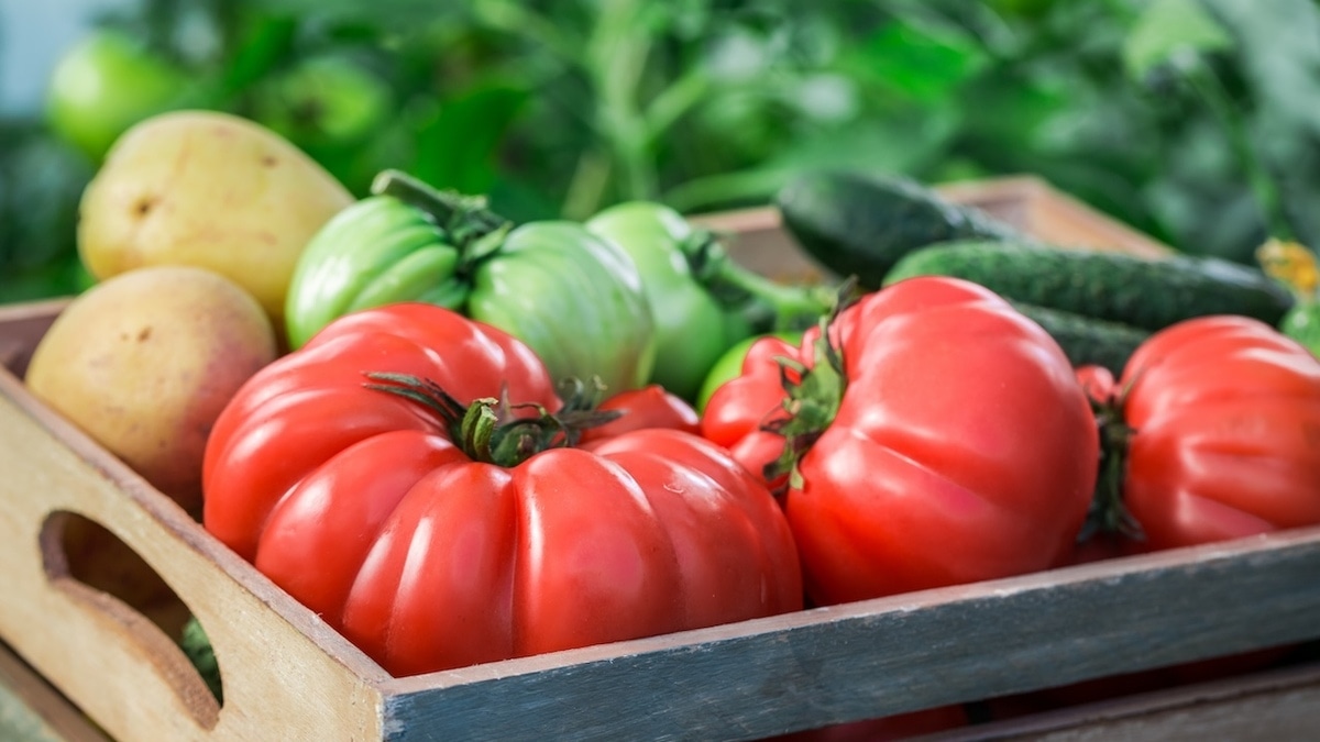 Гастроэнтеролог сказал, без каких 3 продуктов рацион будет неполноценным