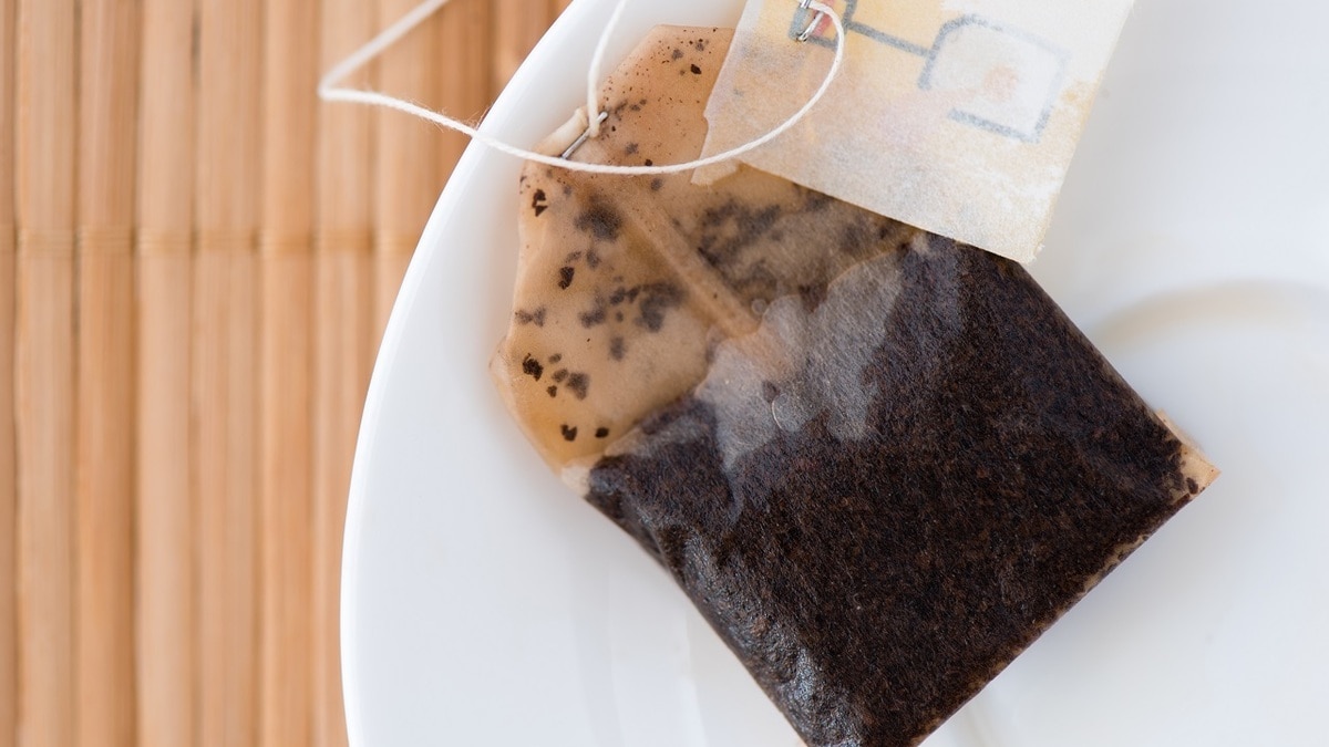 Не выбрасывать! Зачем опытные садоводы всю зиму собирают пакетики из-под чая?