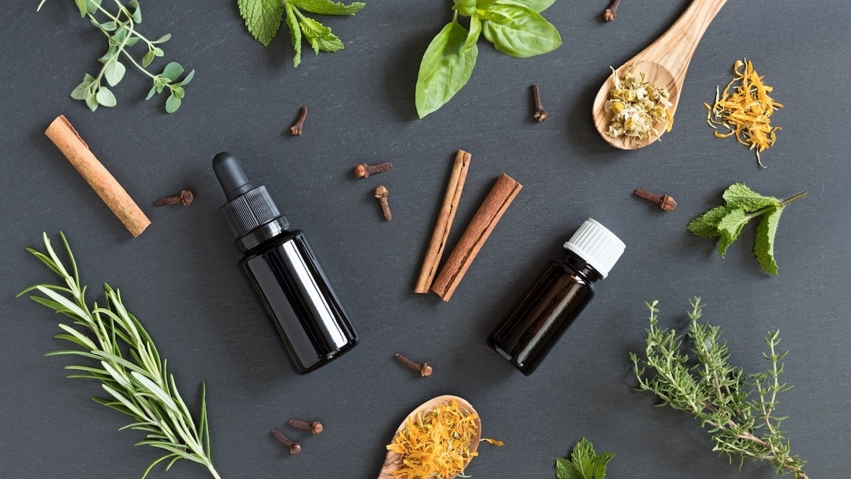 Что делать, если под рукой нет жвачки: найдена самая освежающая пряность на замену