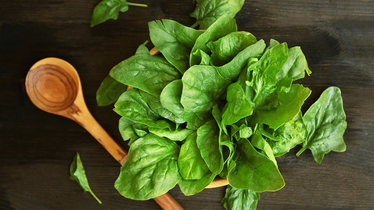 Как выбрать свежий щавель — советы экспертов Роспотребнадзора