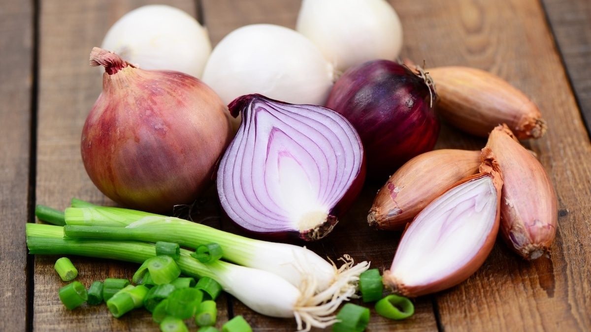 Какой лук полезнее: белый, красный или зеленый? Врач помогла определиться Какой лук полезнее: белый, красный или зеленый? Врач помогла определиться