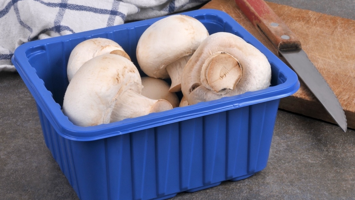 Стало известно, нужно ли мыть и чистить шампиньоны перед приготовлением 